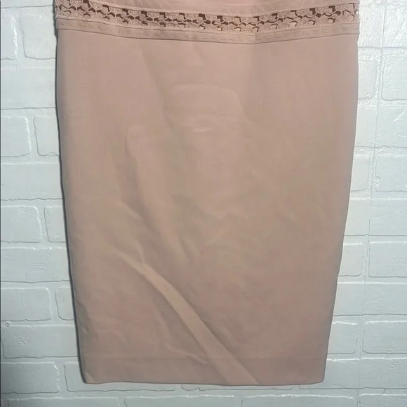 Ann Taylor Womens Dress Elegant Sleeveless Light Pink Sheath Dress Cocktail 8P - Picture 3 of 6